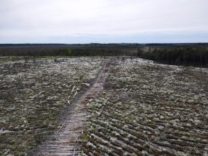 Kuras ir Neīstās dienas